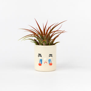 Friend Assembly Mini Pal Planters Crybaby