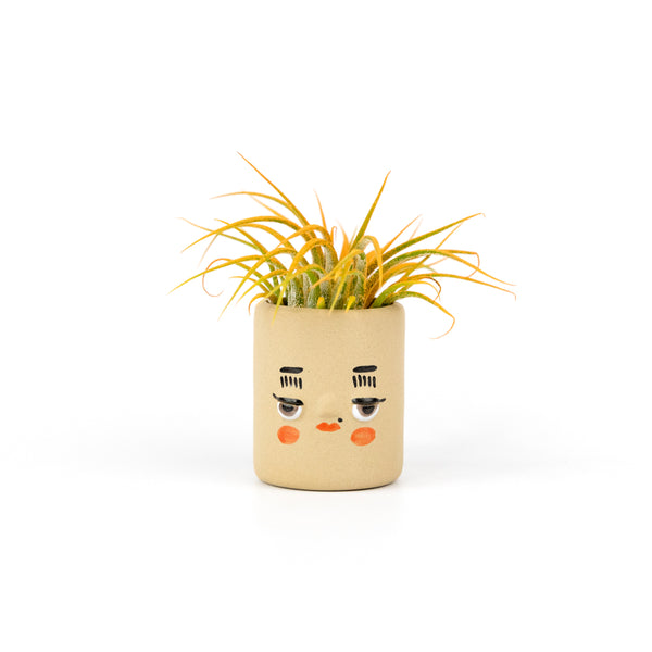 Friend Assembly Mini Pal Planters Lucy in Sand