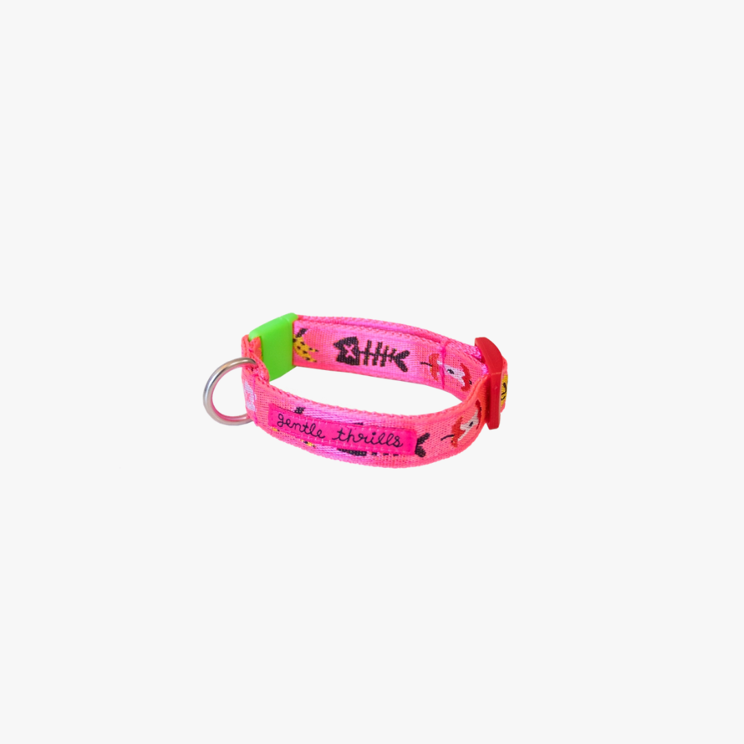 Trash Day Cat Collar