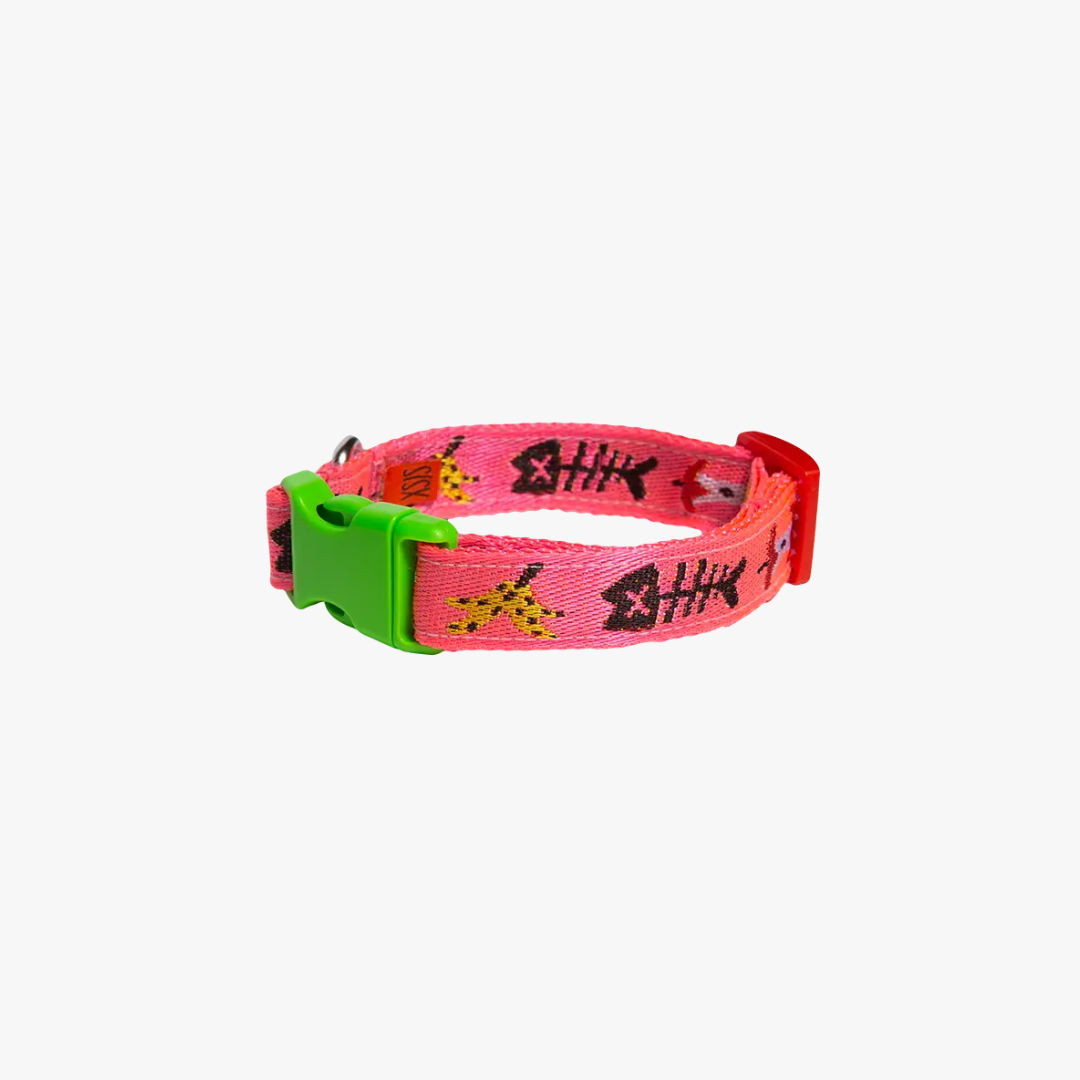 Trash Day Dog Collar