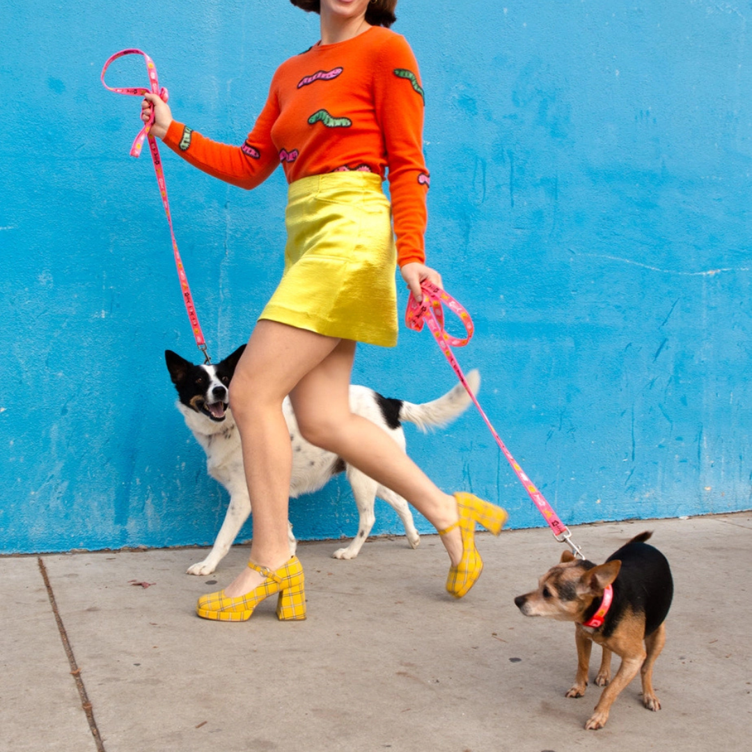 Trash Day Dog Leash