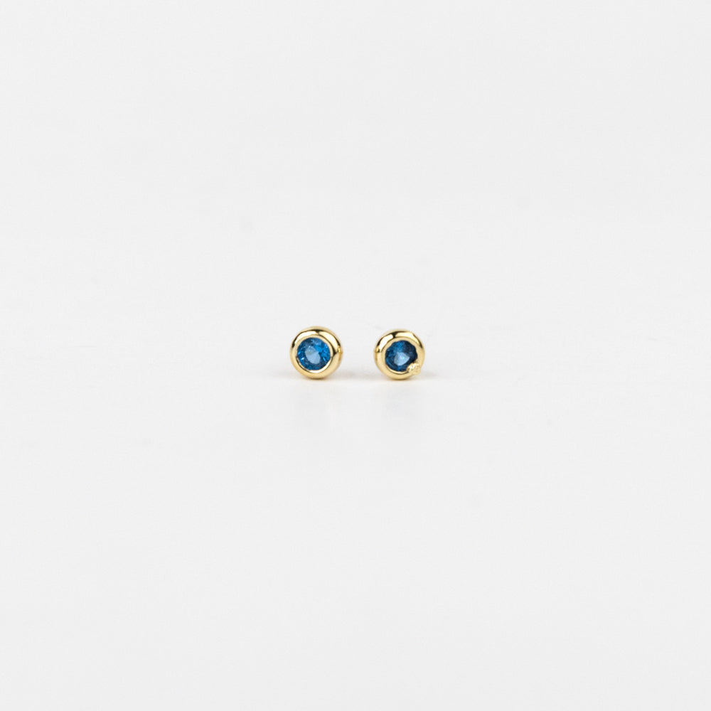 Dainty Bezel Birthstone Stud Earrings - December