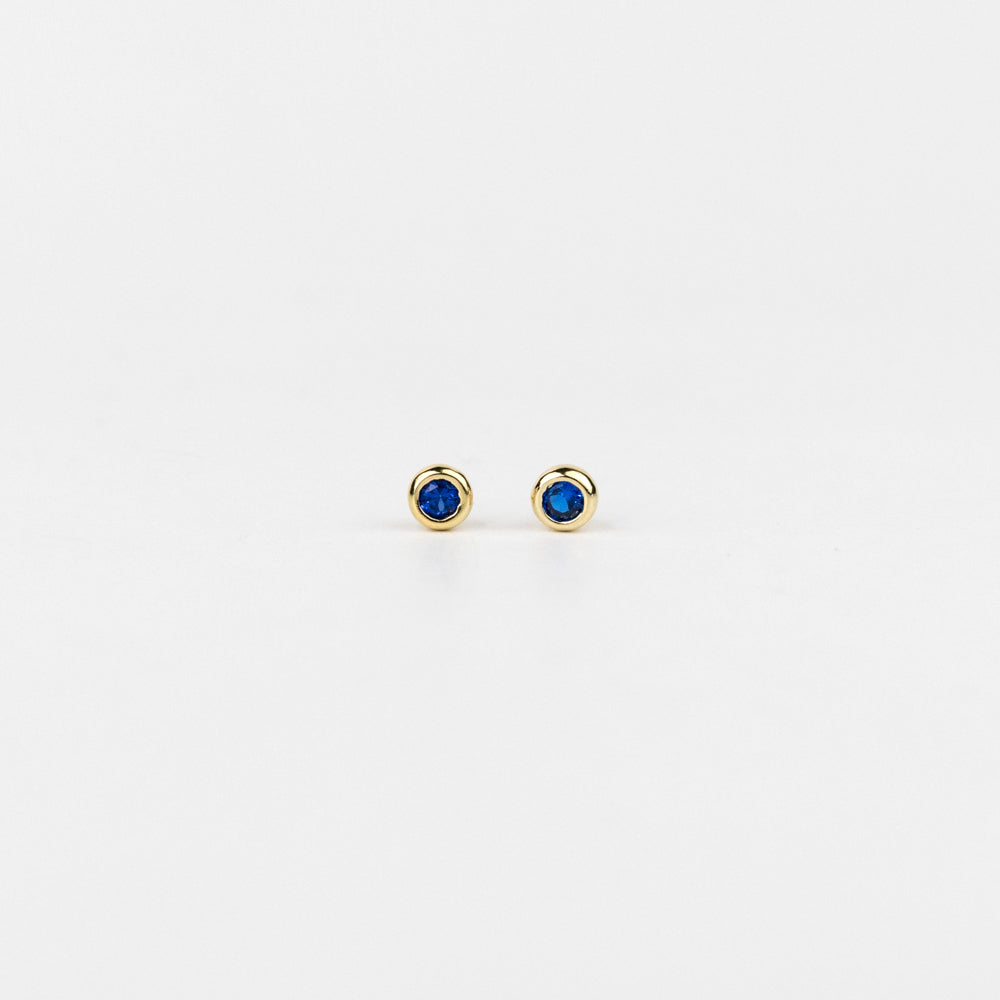 Pair of gold earrings with blue gemstones on a white background