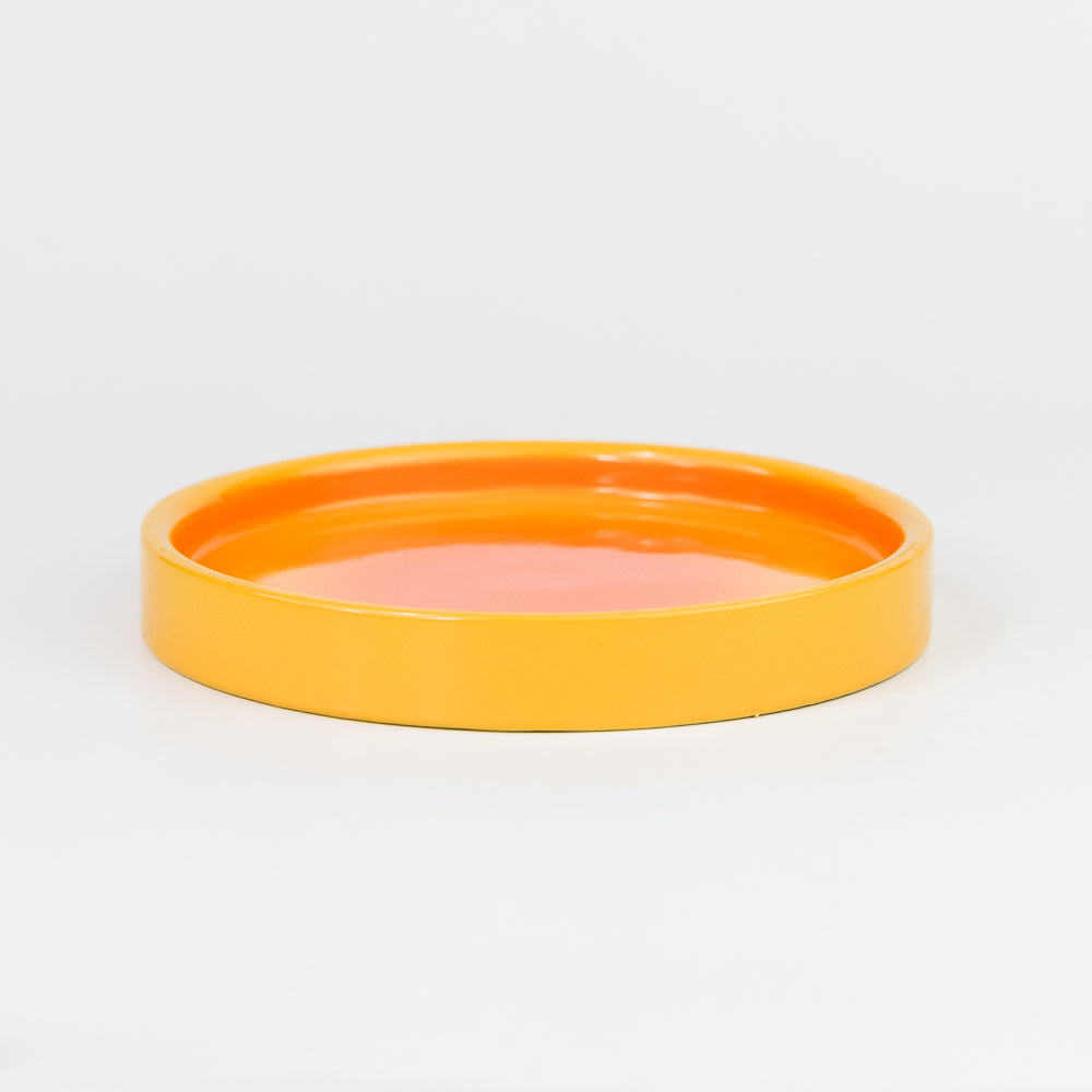 Plate Degraded Earth