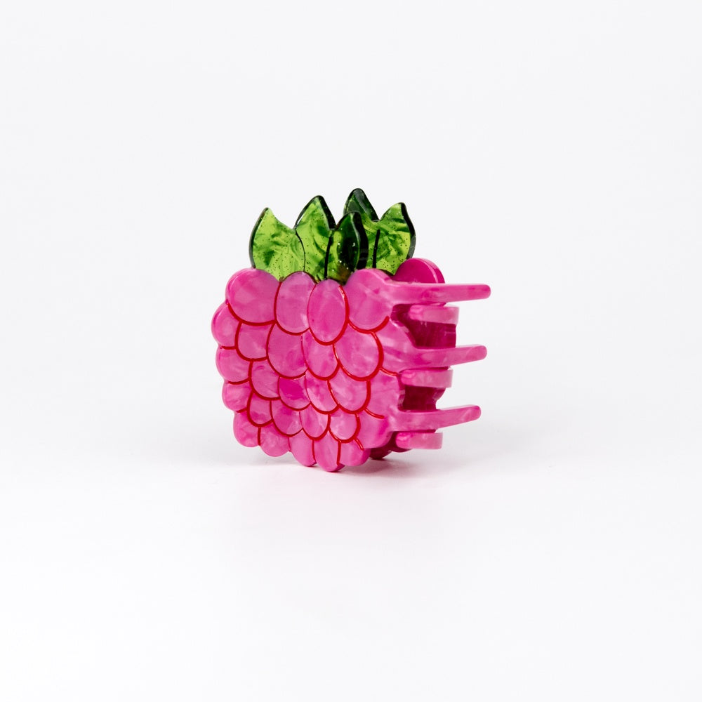 Mini Raspberry Hair Claw
