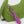 Green bag with a pink 'BAGGU' keychain on a white background