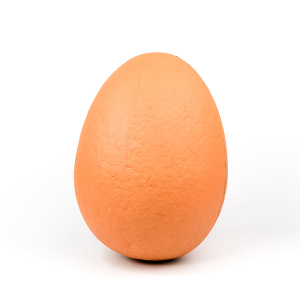 Orange egg on a white background
