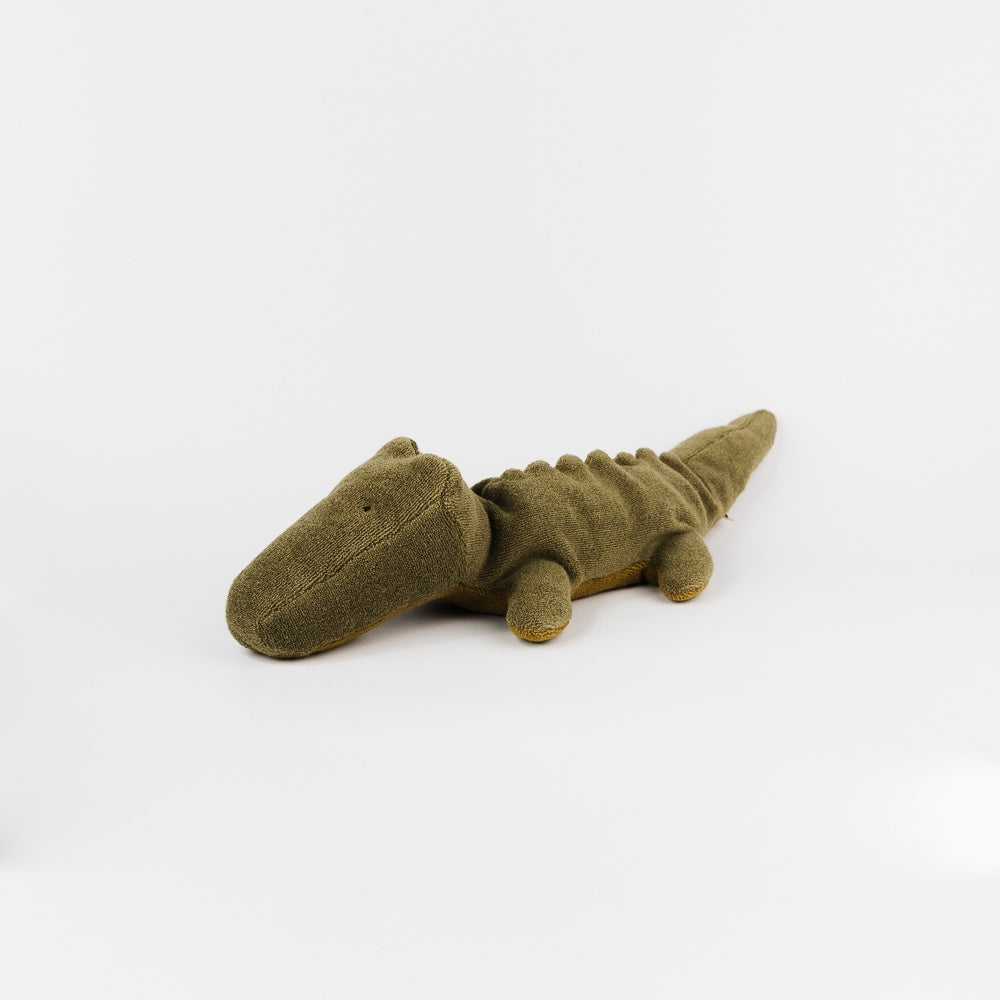 Crocodile, Small - Olive Green