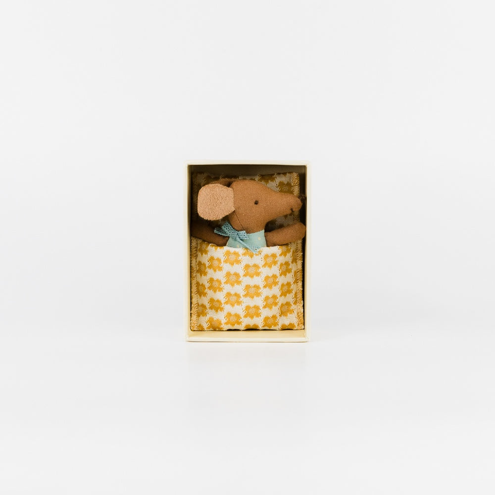 Little Brother Mouse in Matchbox