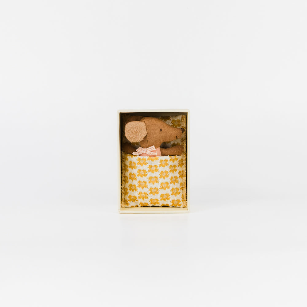 Little Sister Mouse in Matchbox