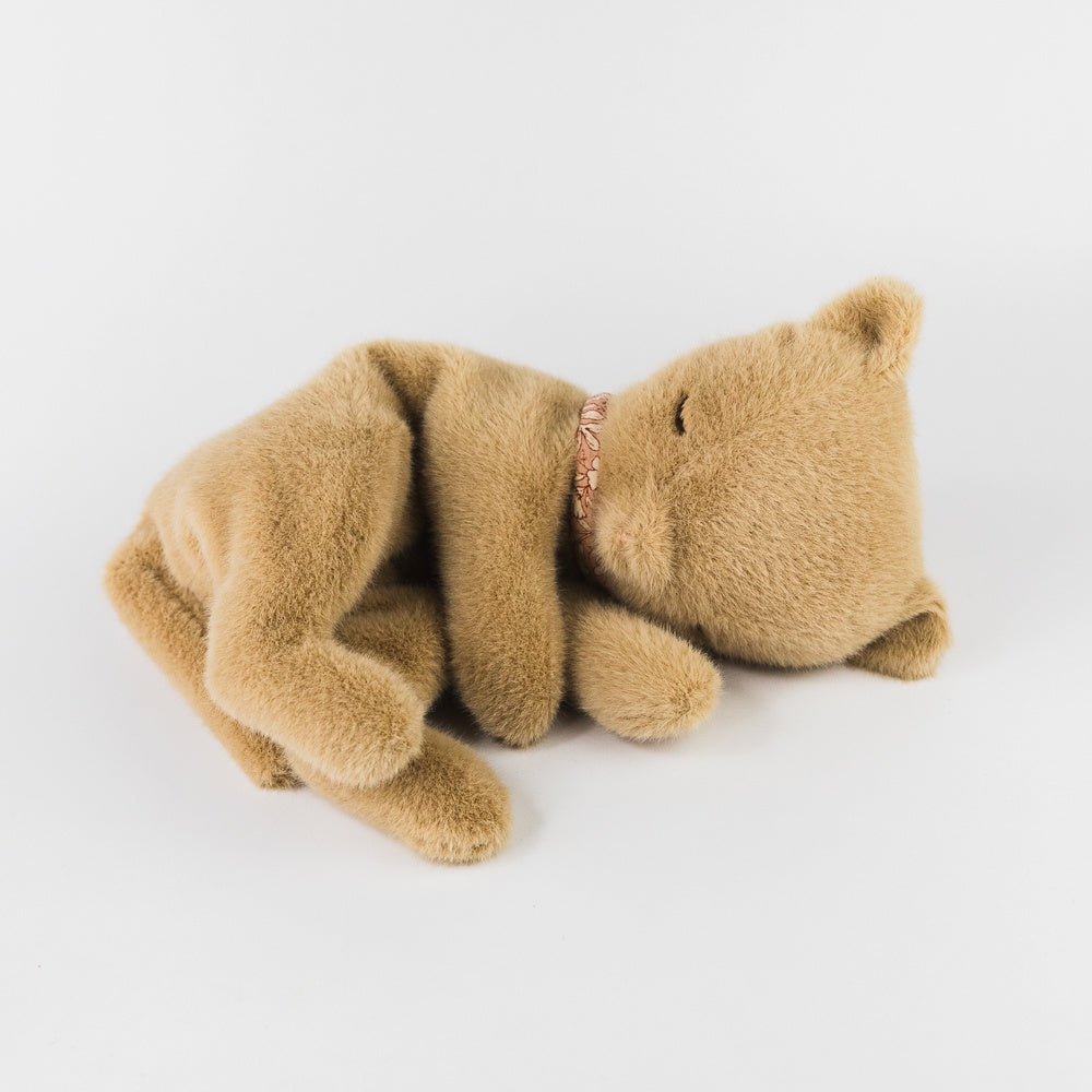Sleeping Kitten Plush, Small - Cream Peach