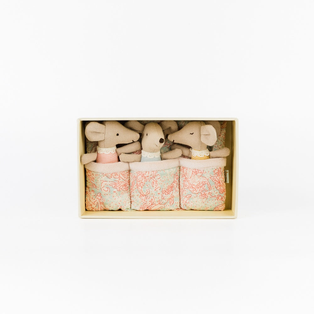 Triplets, Baby Mice in Matchbox - Checker