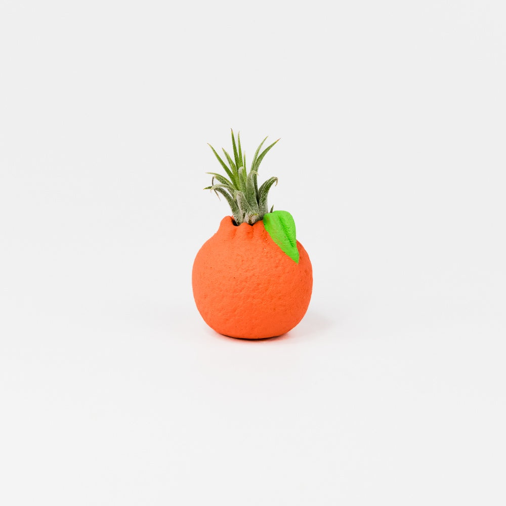 Orange Mini Planter with Air Plant