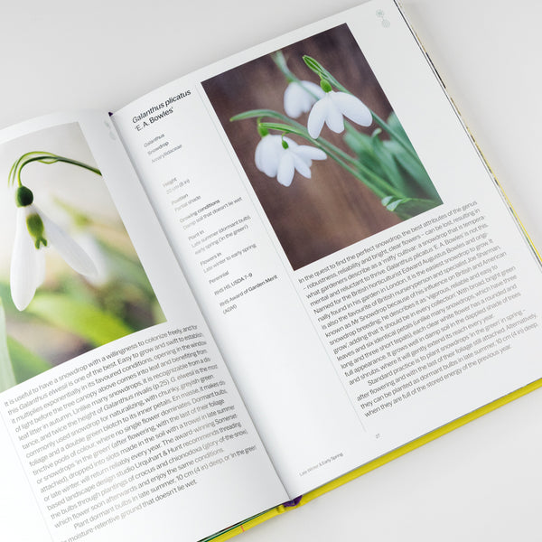 Phaidon A Year in Bloom