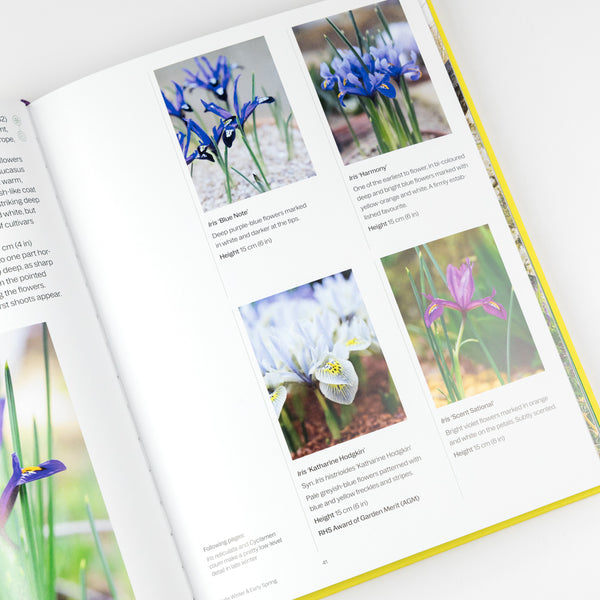 Phaidon A Year in Bloom