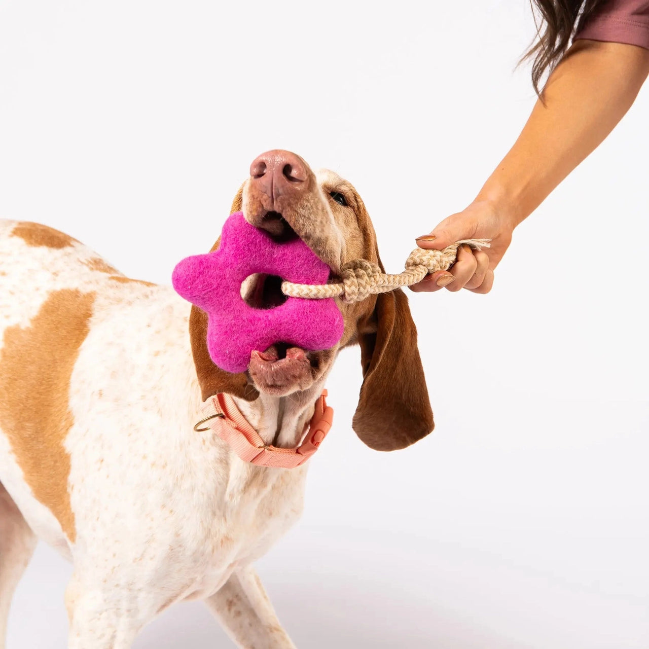 Pullin' Posies Felt Wool Toy