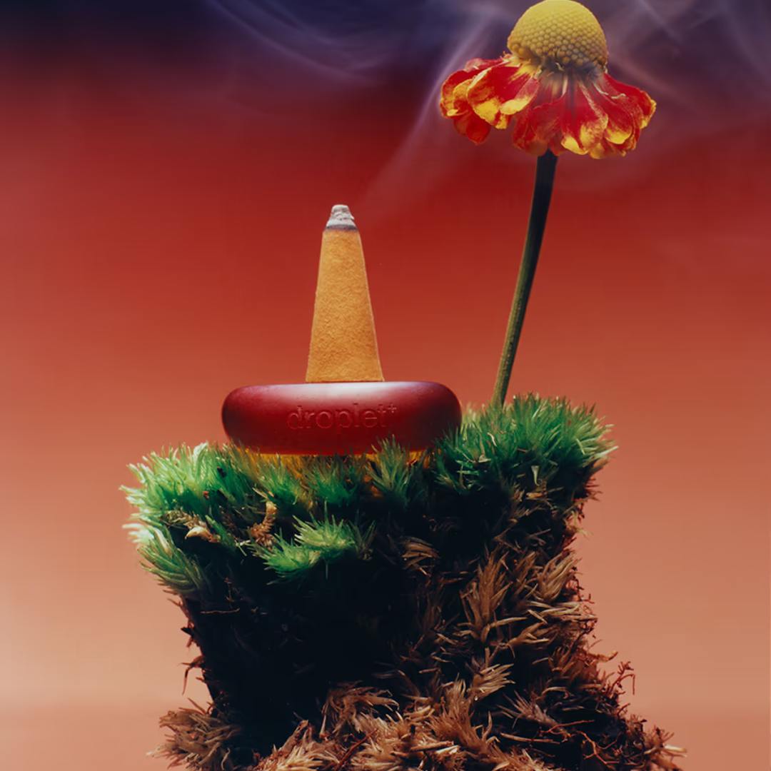 Ripple⁺ Focus - Wildflower Incense Cones