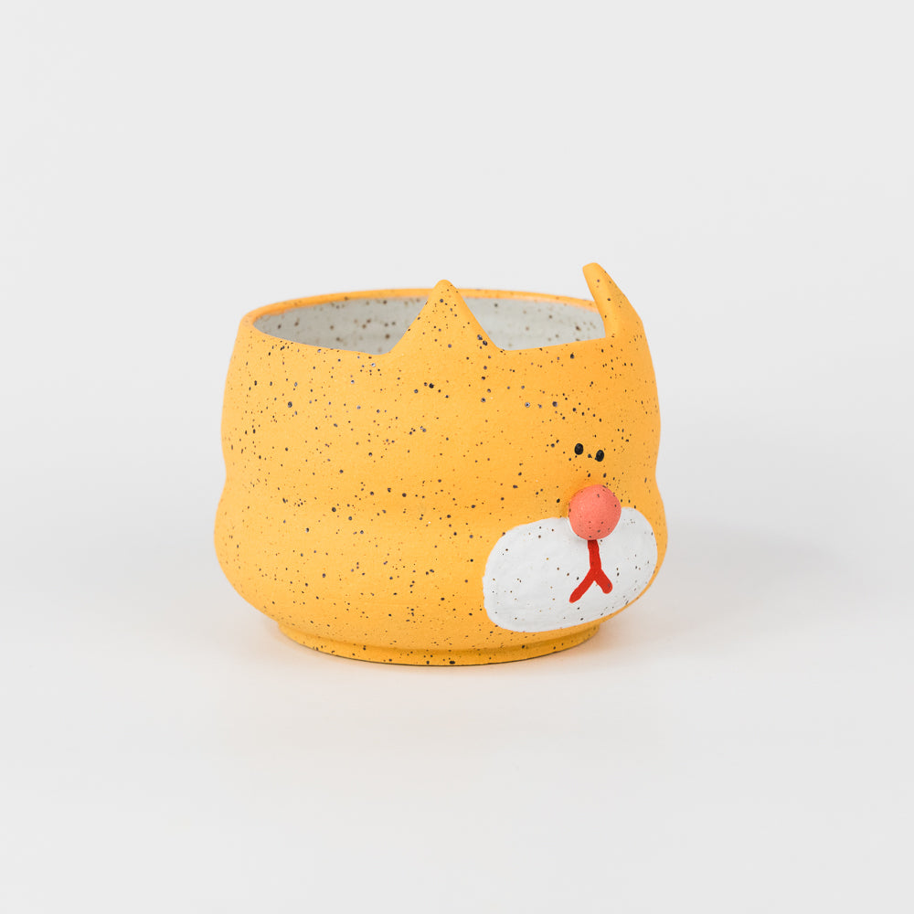 Orange Cat Plant Pot