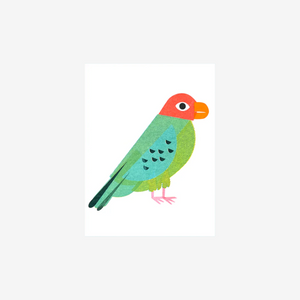 Scout Editions x Rare Device Parrots of Telegraph Hill s Mini Card