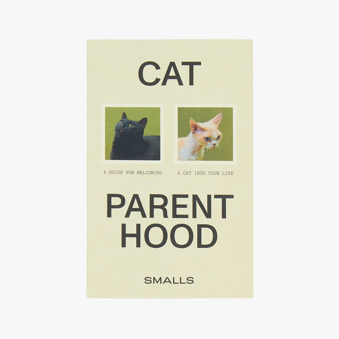 Cat Parenthood Zine