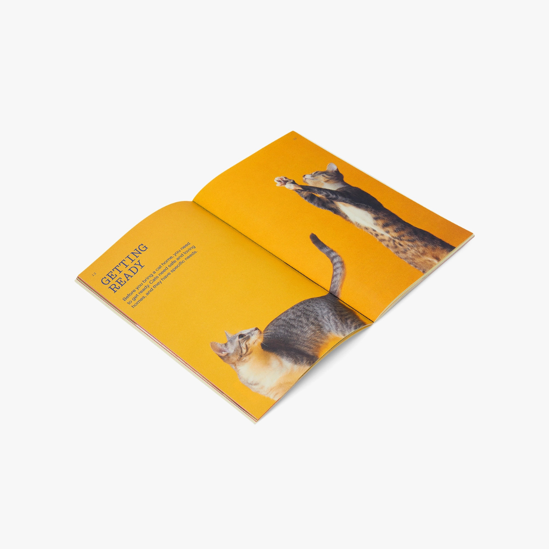 Cat Parenthood Zine