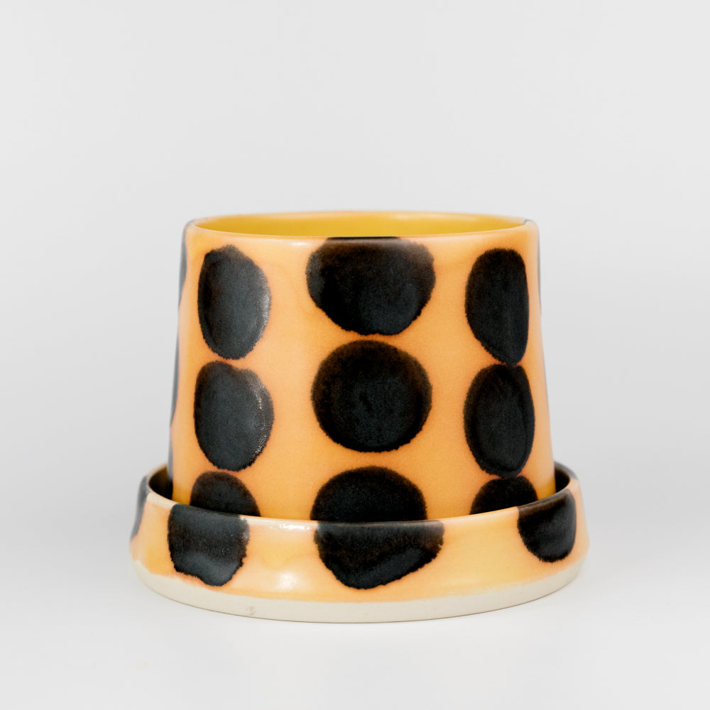 Plant Home in House Cat - 4"