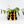 Plant Home in House Cat - 4