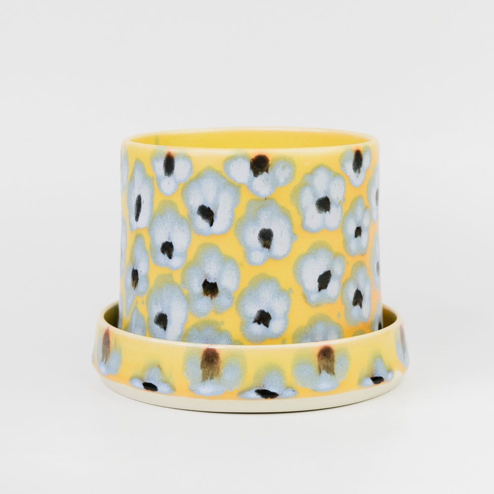 Ceramic planter with floral pattern on a white background