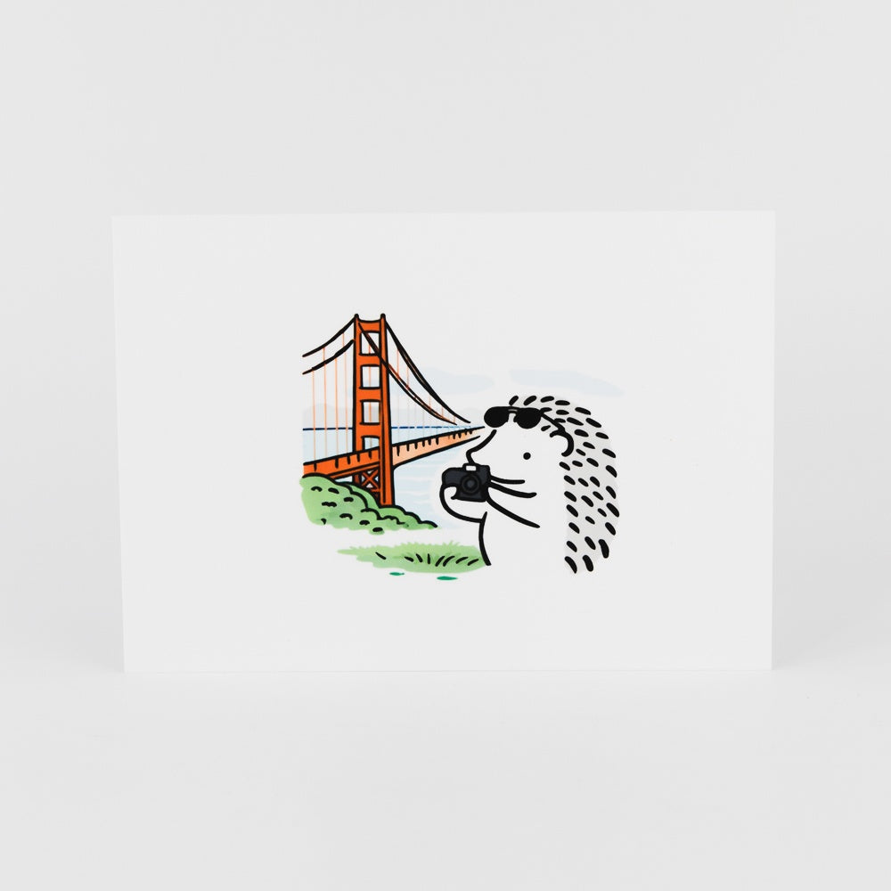 San Francisco Hedgehog Postcard