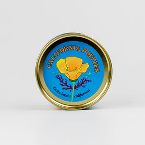 Jar lid with California poppies design on a white background