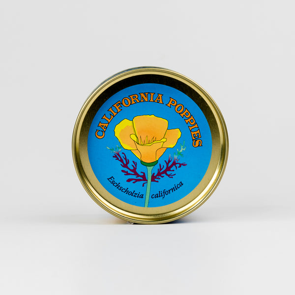Jar lid with California poppies design on a white background