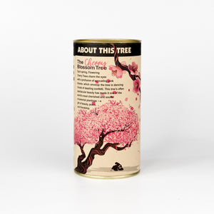 Flowering Cherry Blossom Seed Grow Kit by The Jonsteen Company