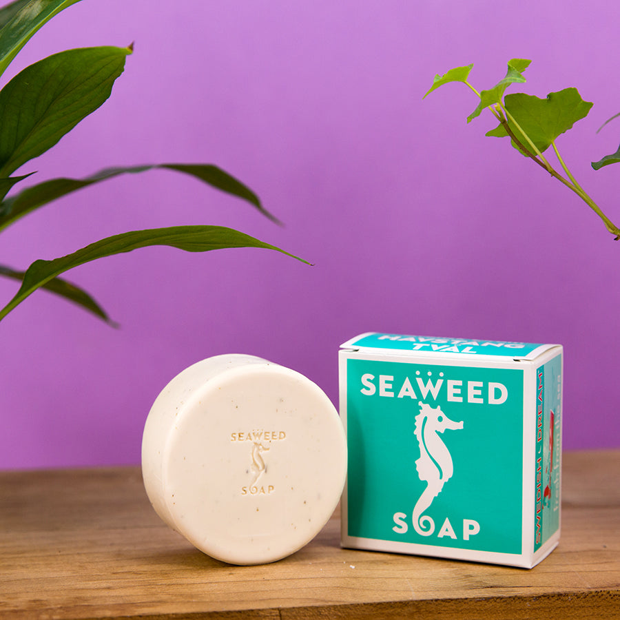 Seaweed Soap
