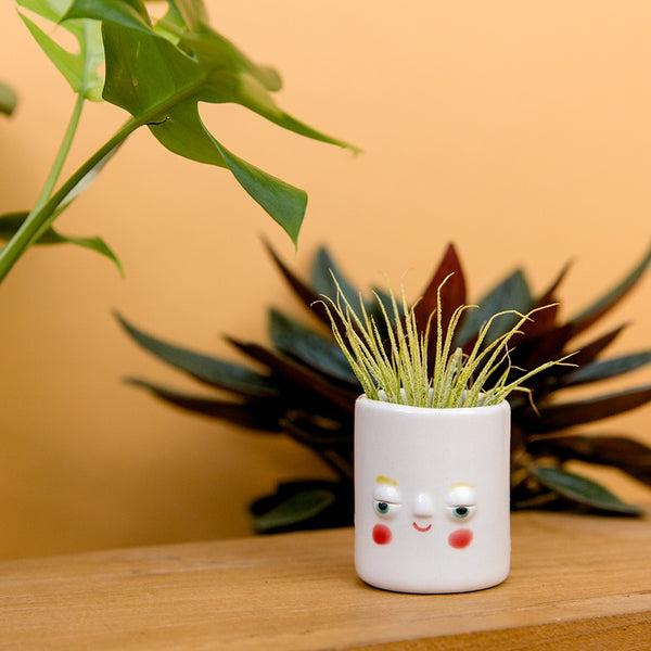 Mini Pal Planter with Airplant - Blondie