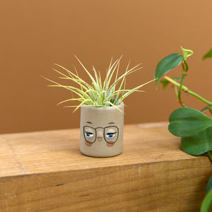 Mini Pal Planter with Airplant, Sand - Four Eyes