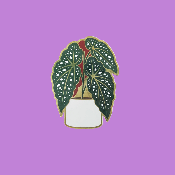 Paper Anchor Co Begonia Sticker