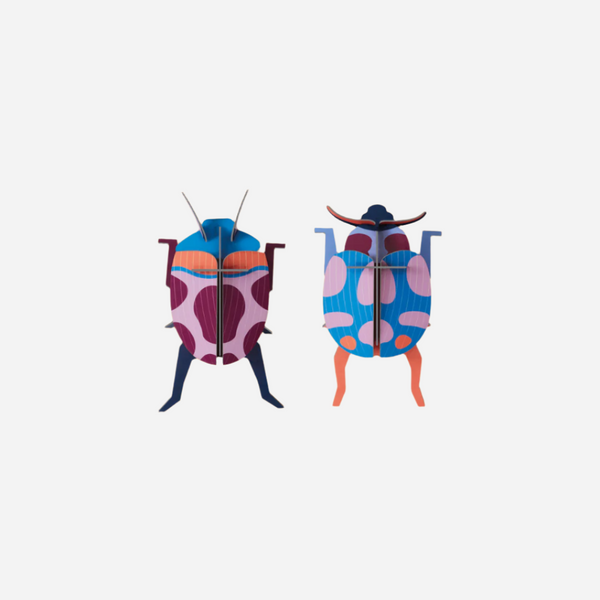 Small Insects Coccinelle Couple by Studio Roof